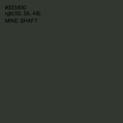#323830 - Mine Shaft Color Image